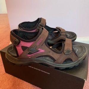 ECCO Rainier Women Sandals Espresso/Fuchsia 8-8.5